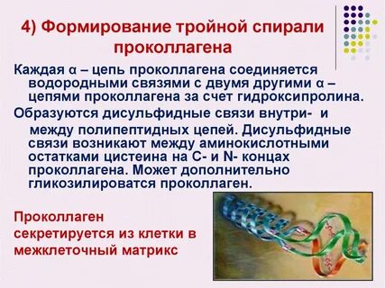 Биохимия соединительной