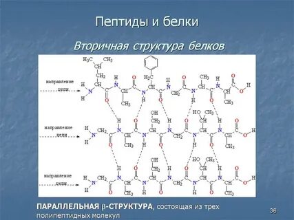 Белок в химии
