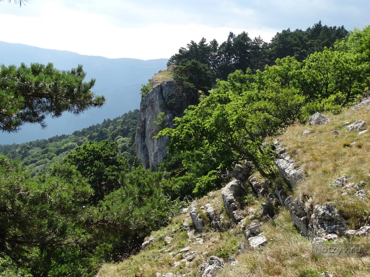 Где в крыму заповедники. Национальный парк Крымский Алушта. Алуштинский Крымский заповедник. Природный заповедник Алушта. Алуштинский национальный заказник.