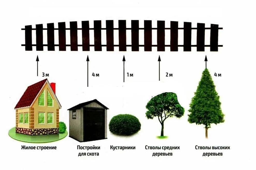 Какое расстояние от дома до забора соседа. Нормы высадки деревьев от забора. Посадка деревьев на участке нормы. Нормы посадки деревьев от забора соседа. Нормы посадки деревьев от забора в СНТ.