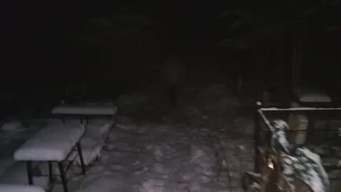 Видел призрака на кладбище