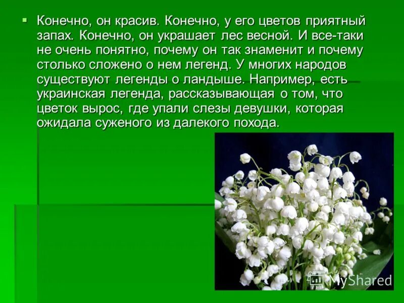 Для чего пахнут цветы. Сведения о ландыше. Ландышинформация для детей.