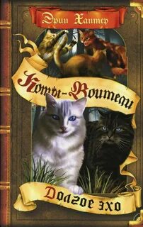 Эхо коты