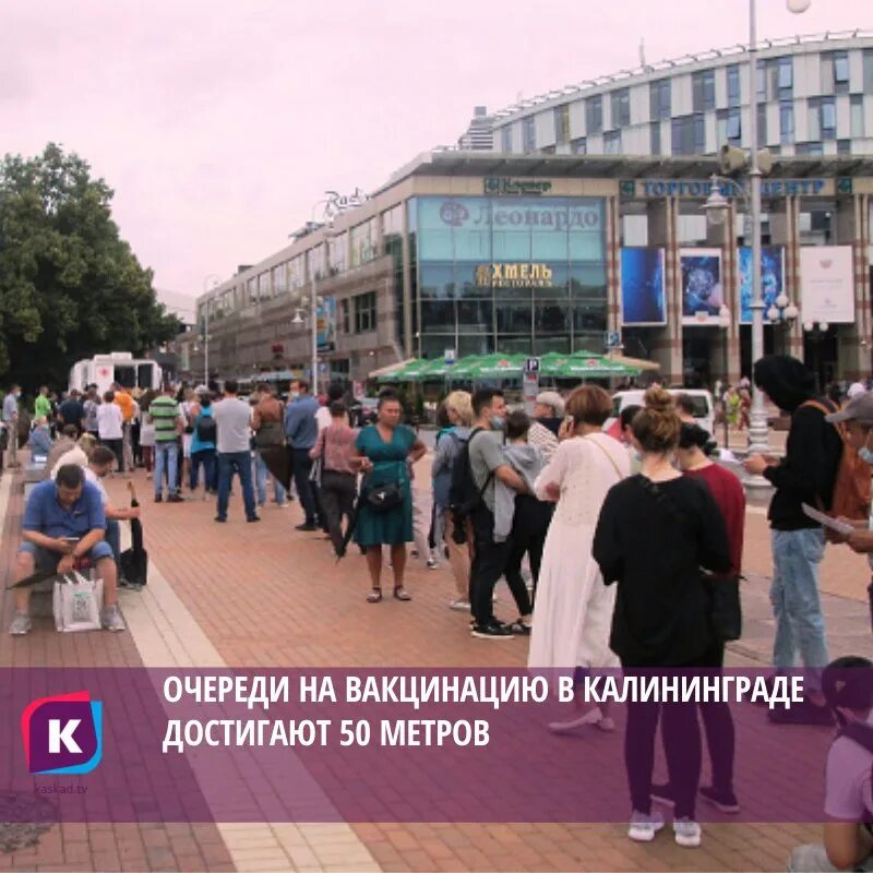 Каскад новости Калининград. Прививки Калининград площадь октябрь. Новости Каскад Калининград сегодня. Телеканал каскад калининград прямой эфир сегодня