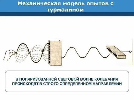 Волны в шнуре