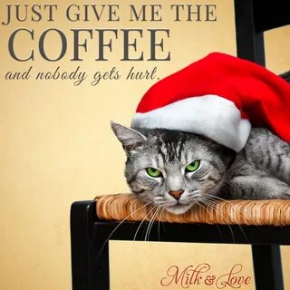 Funny Christmas meme 2017 - Coffee Café De Natal, Gatos Do Natal, Humor De ...