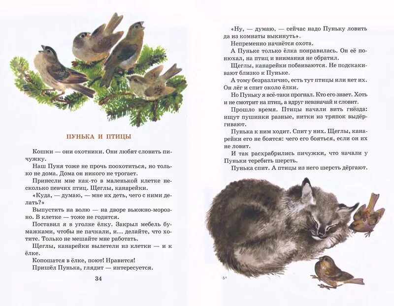 Чарушин Пунька. Чарушин Пунька и птицы. Е И Чарушин Пунька и птицы. Чарушин Пунька и птицы книга. Сорока читательский дневник