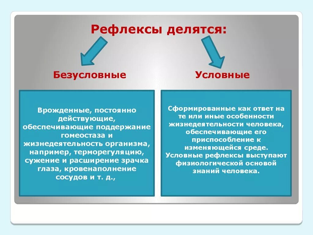 2 примера безусловного рефлекса. Рефлексы. Условные и безусловные рефлексы человека. Условные рефлексы делятся на. Условный рефлекс и безусловный рефлекс.