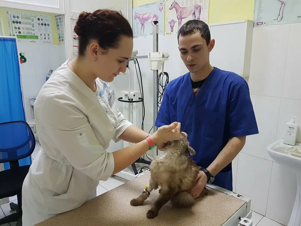 хромова 84 тверь.