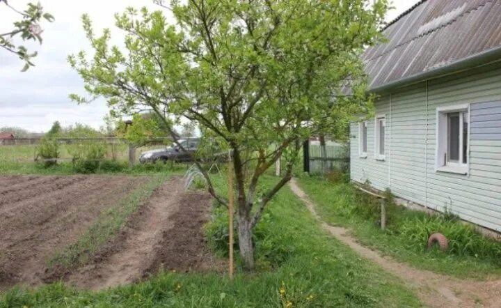 Купить в деревне калугу. Деревня Андреевская Калужская область. Калуга д .Андреевская. Калуга деревня Андреевское. Дом д, Андреевское Калуга.