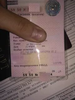 Стс кем выдан где