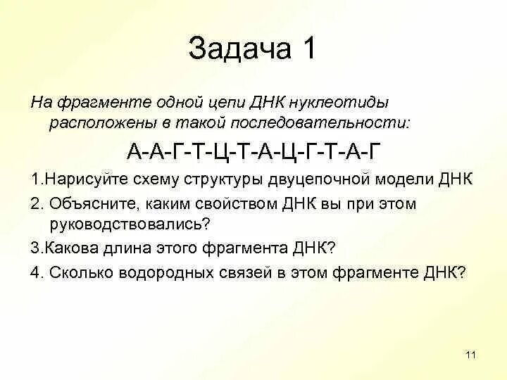 Фрагмент цепи днк имеет последовательность атааггатгццтттт. Какова длина этого фрагмента ДНК. ДНК 1 А Г Т Ц. Фрагмент ДНК А-А-Г-Т-Ц-Т-А-Ц-Г-Т-А-Г. 1 Цепь ДНК.