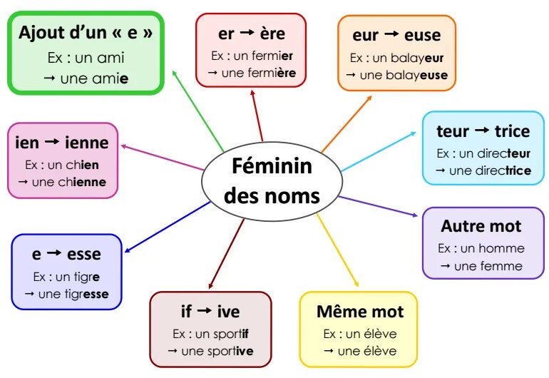 Роды существительных во французском языке. Прилагательные женского рода во французском языке. Существительные во французском языке мужского и женского рода. Мужской и женский род существительных во французском языке.