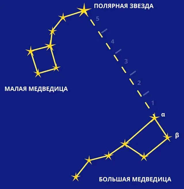 Созвездие Малая Медведица