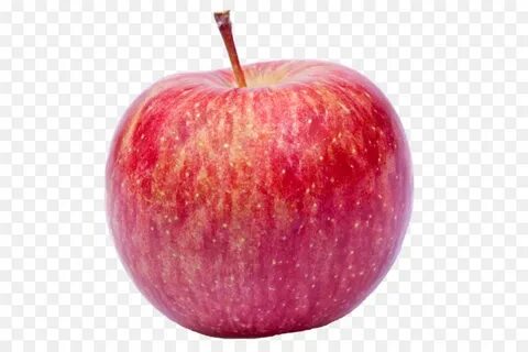 Яблоня прозрачная