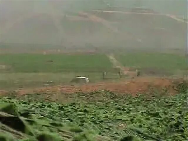 Прогноз погоды село сергеевка приморский
