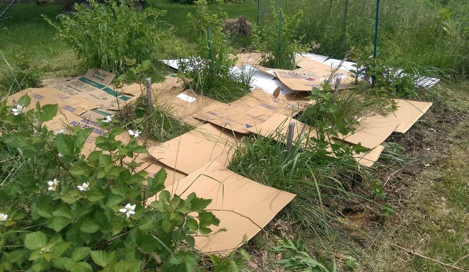 Как использовать в садоводстве