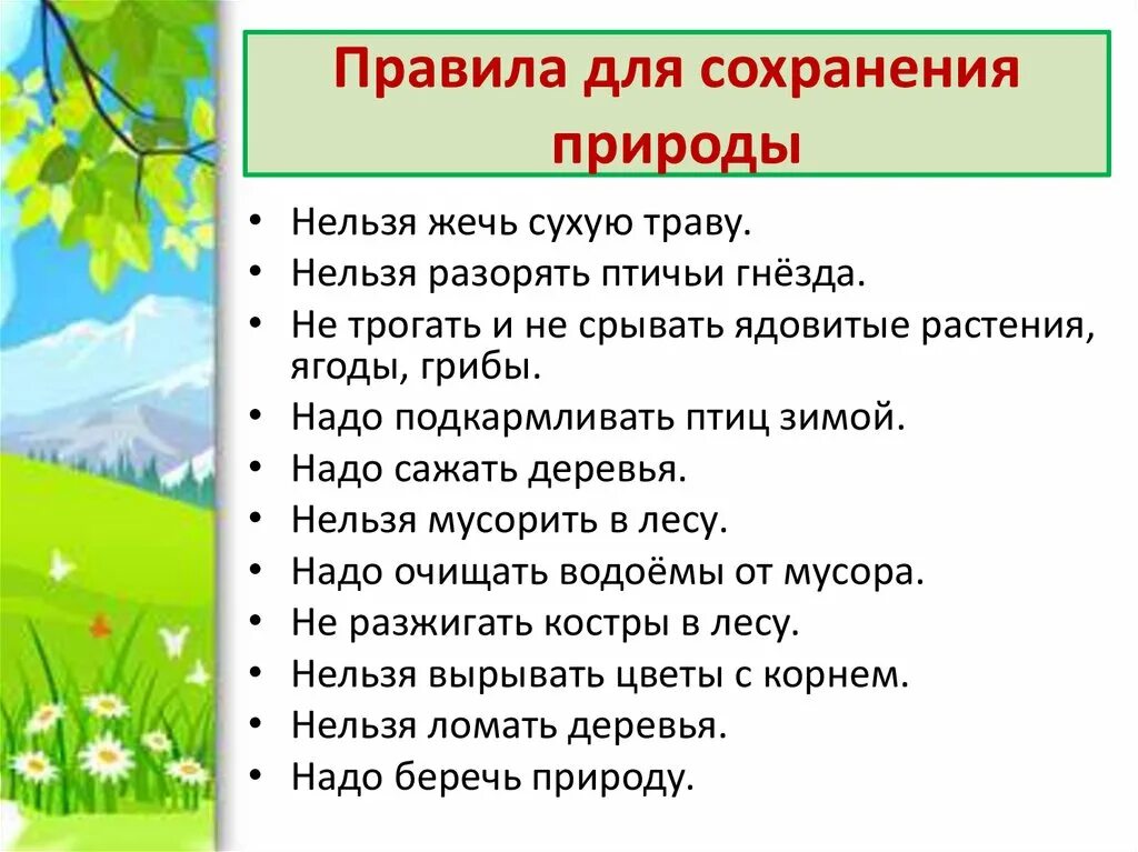 Правила жизни в ладу с природой 3. Что нужно делать для сохранения природы. Правила сохранения природы. Советы для сохранения природы. Правило для сохранения природы.