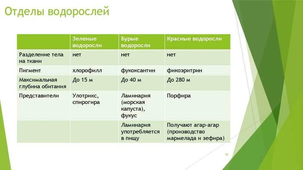 Сравните водоросли