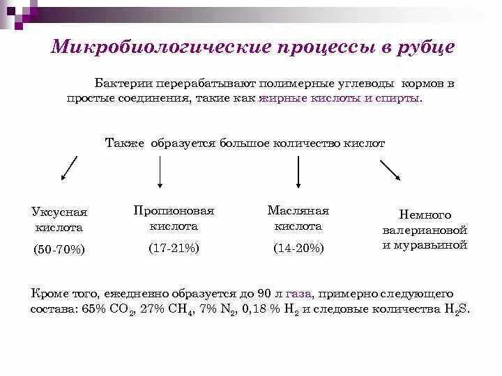 Процессы протекающие при хранении. Микробиологический химические реакции процесса. процессы в микробиологии. виды микробиологических процессов. важнейшие микробиологические процессы.