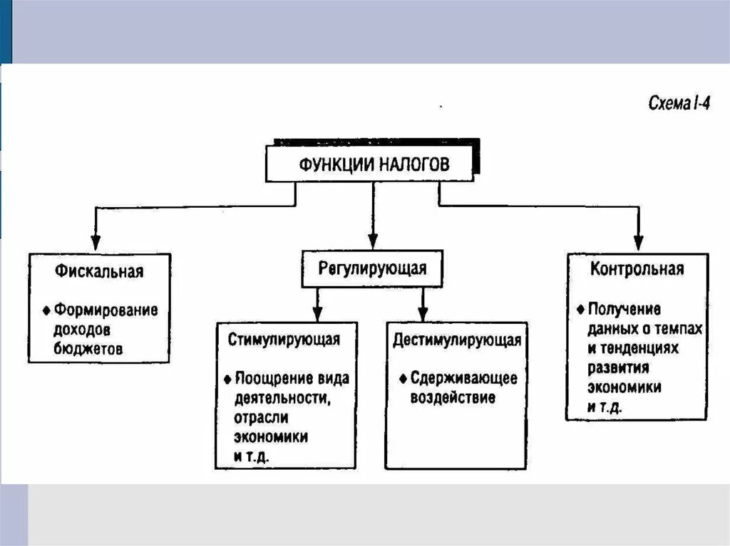 Функции налогов схема. Виды налогов в РФ схема. Фискальная функция схема. Налоговая система схема. Функции налогов обществознание