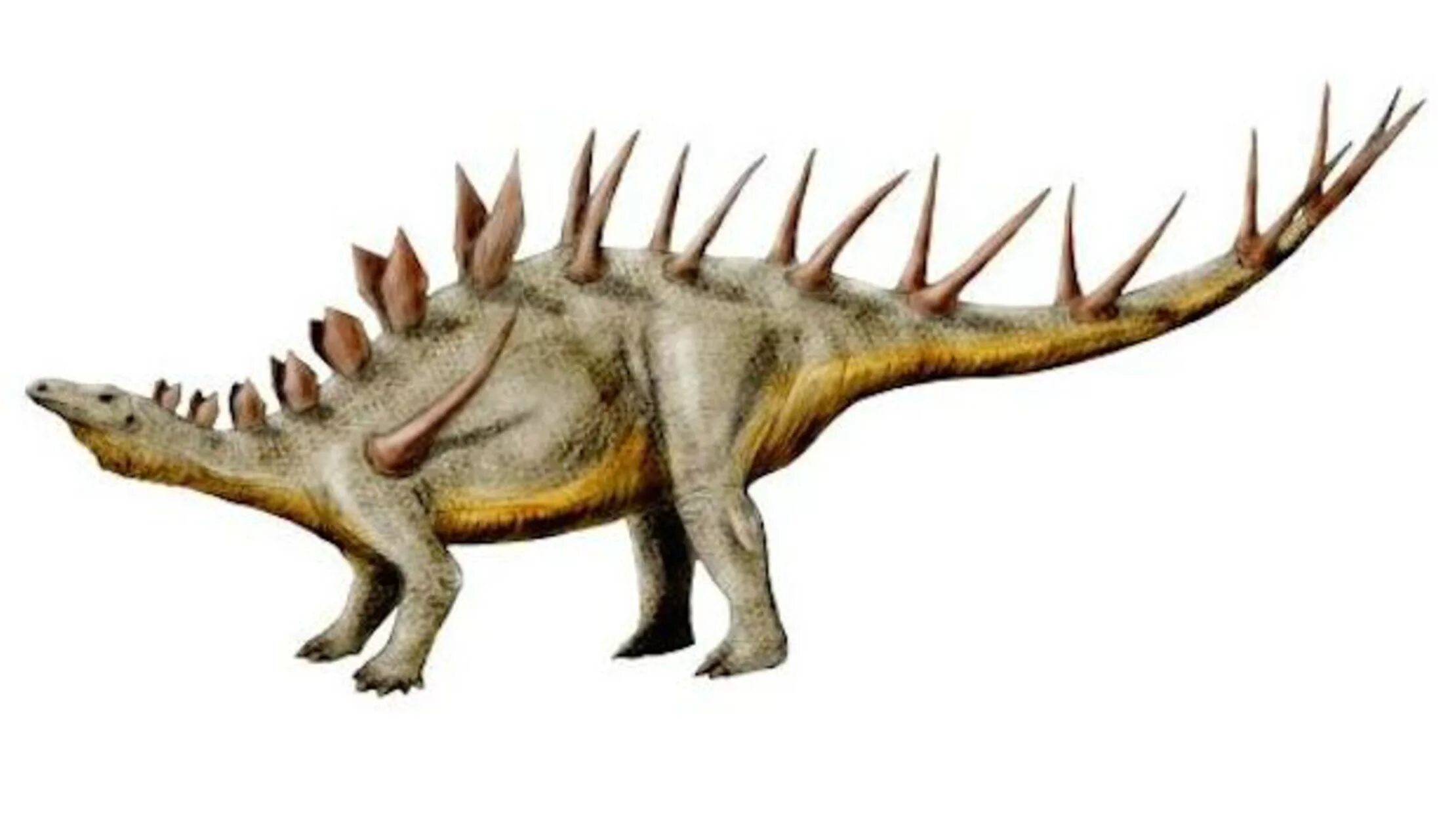 Kentrosaurus aethiopicus. Анкилозавр Стегозавр Кентрозавр. Травоядные динозавры Стегозавр. Кентрозавр динозавр. Травоядные динозавры с шипами