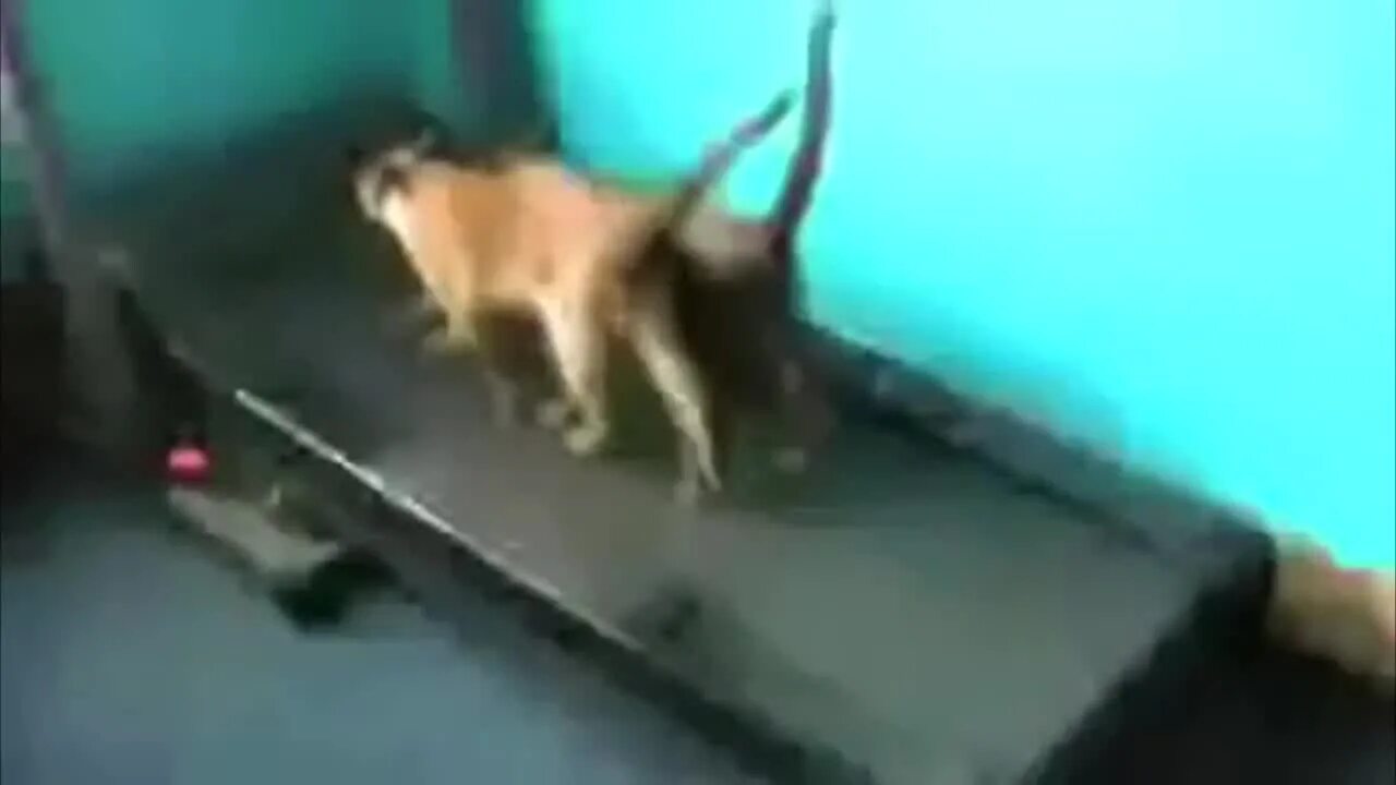 Трясется в судорогах