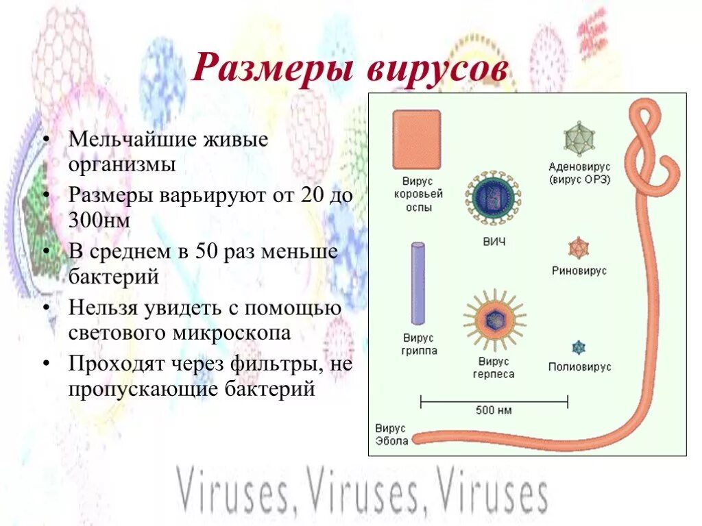 Насколько вирус. Размеры вирусов и бактерий. Размеры вирусов. Размер вирусов в нанометрах.