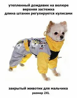 Комбинезон для собак с застежкой на спине