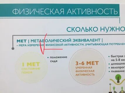 Полимедика белгород запись