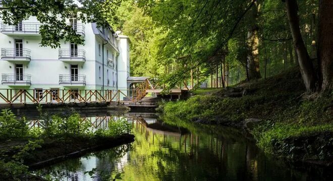Отель в Подмосковье с бассейном - цены на отдых в загородном спа-отеле "LES Art 