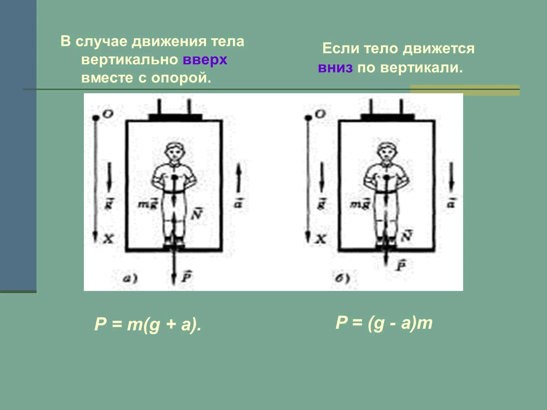 Вес тела направлен вверх. Движение вертикально вниз. Движение тела вертикально вверх и вниз. Вес тела при движении вверх. Ювес тела при движении.