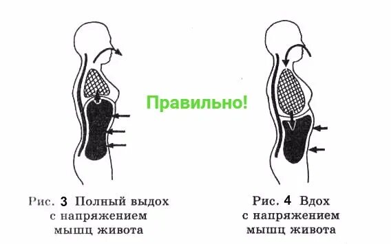 Дыхательная гимнастика диафрагмальное дыхание. Дыхательная гимнастика для диафрагмы. Диафрагмальное дыхание упражнения. Тренировка диафрагмального дыхания.