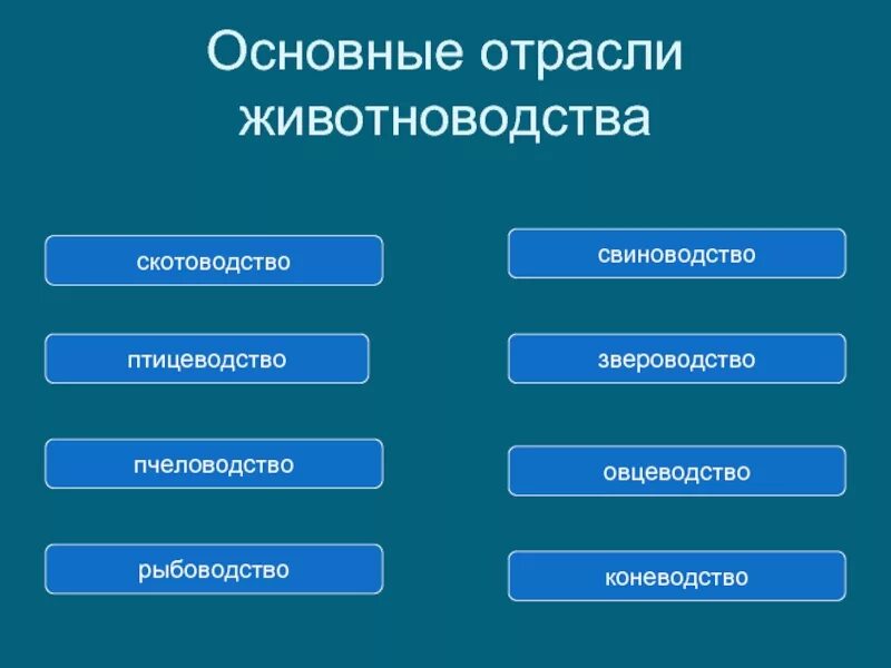 Название отрасли животноводства. Отрасли животноводства. Основные отрасли животноводства. Отрасли отрасли животноводства. Отрасли животноводства 3 класс.