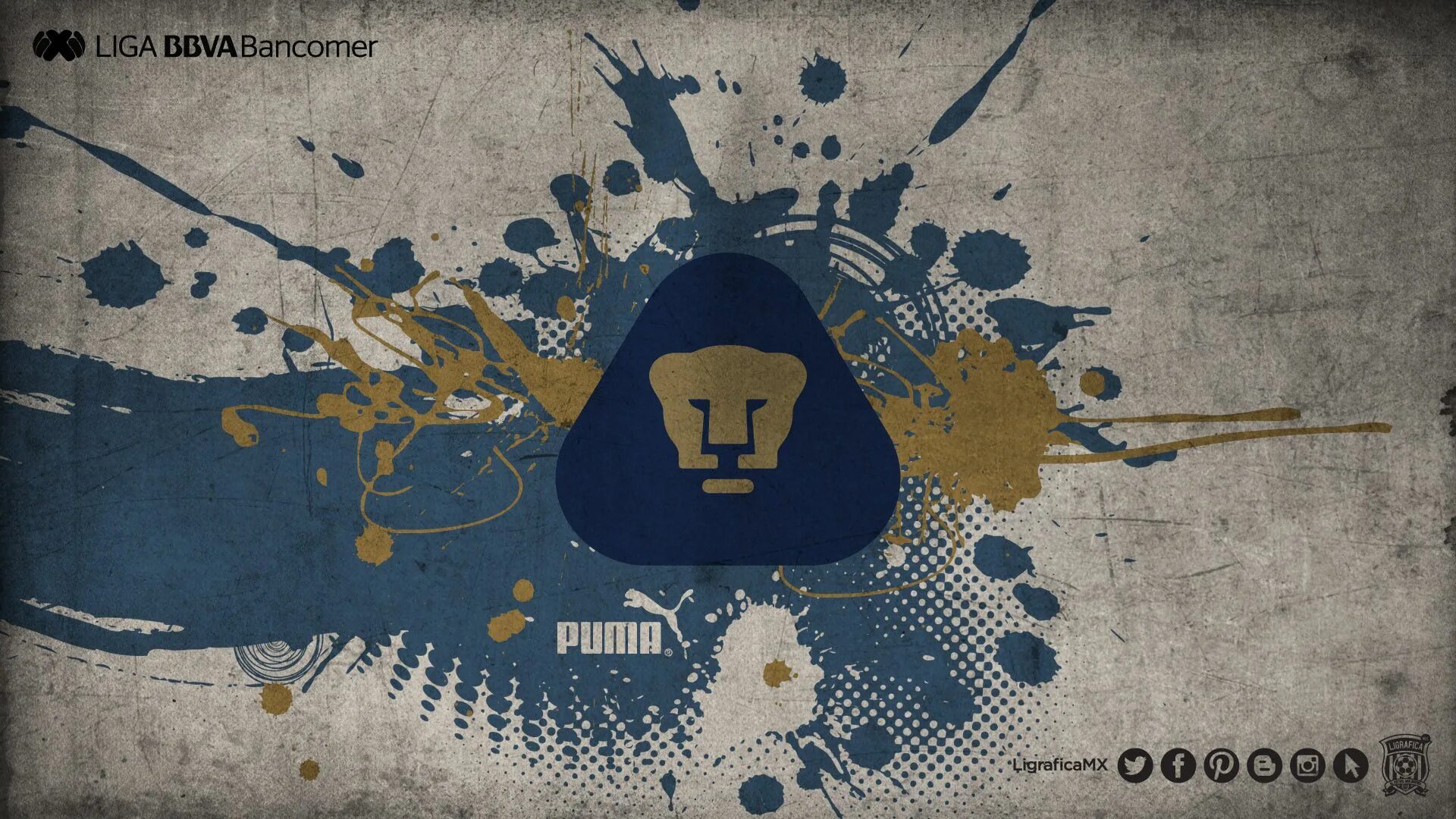 Ванкувер пумас. Унам пумас. обои пума. logo pumas unam.