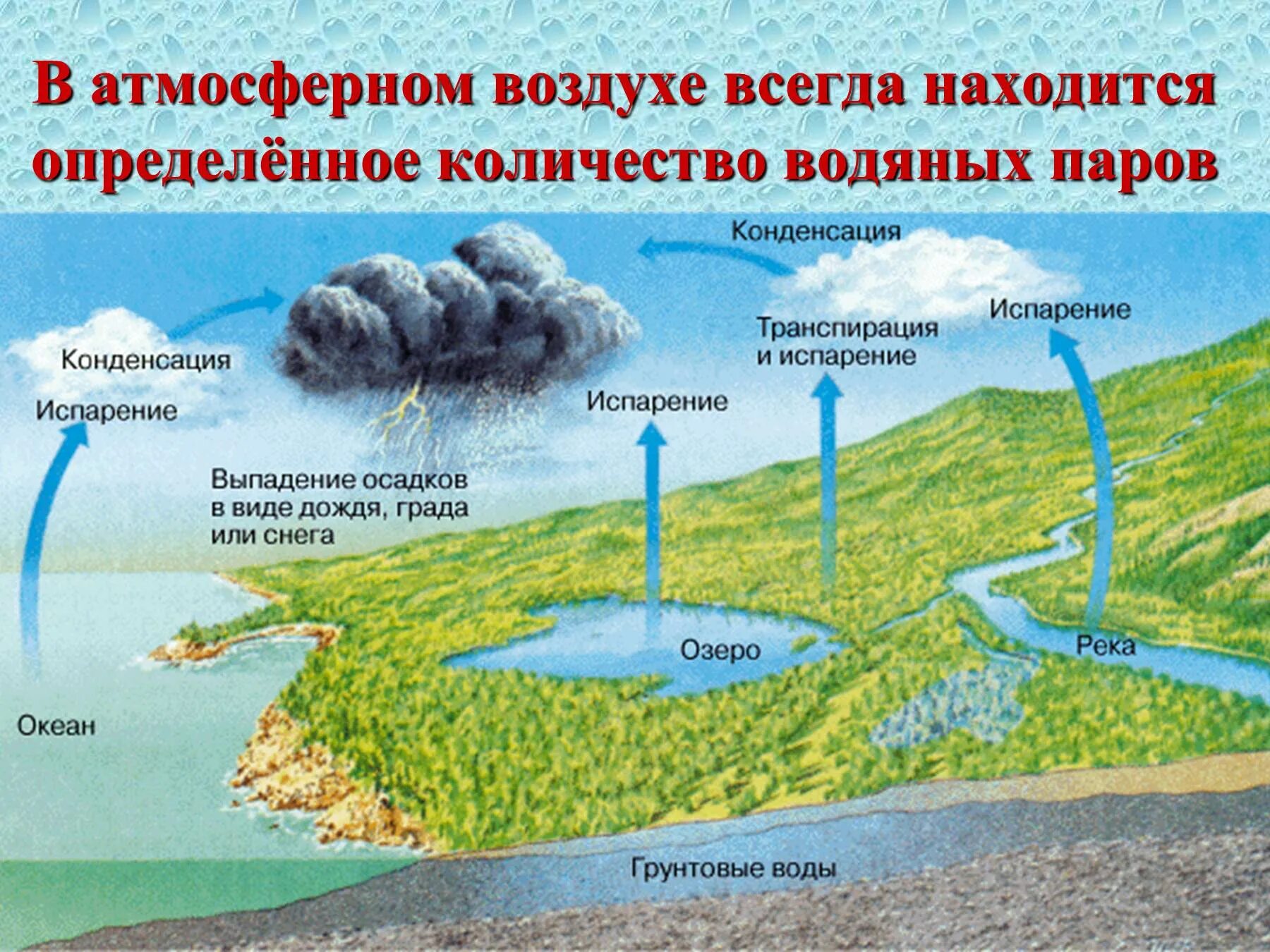 Процессы образования облаков. Схема процесса испарения воды. Круговорот воды в природе схема. Круговорот воды 5 класс география. Круговорот веды в природе.