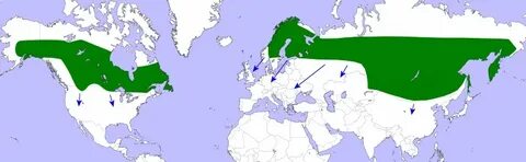 Центр распространения