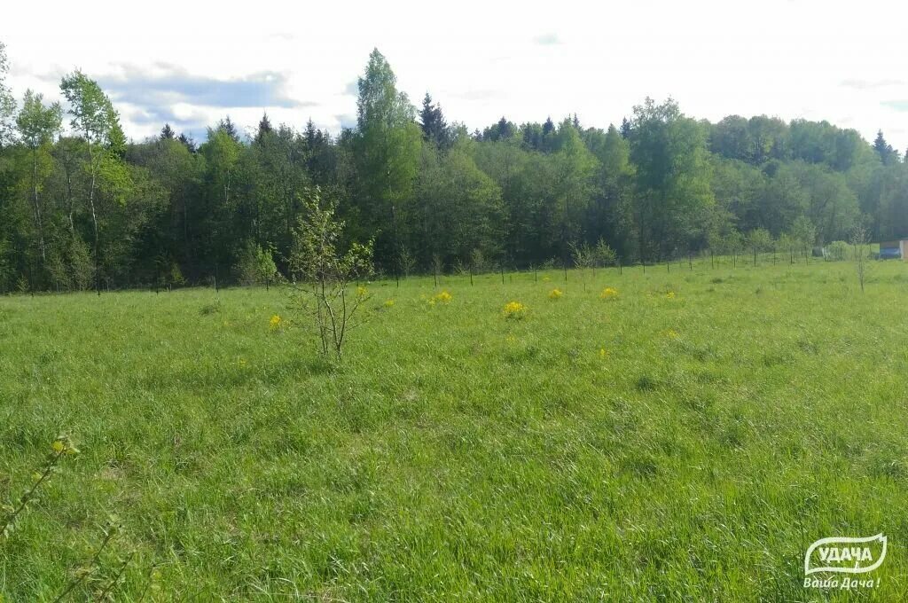 Купить участок в шаховской. ДНП Дорино. КП Дорино Шаховской район. Московская область Шаховской район деревня дор. Коттеджный поселок Дорино (деревня дор).