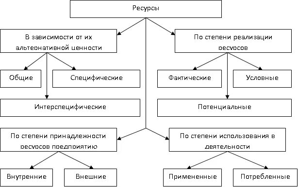 Связь экономики и ресурсов