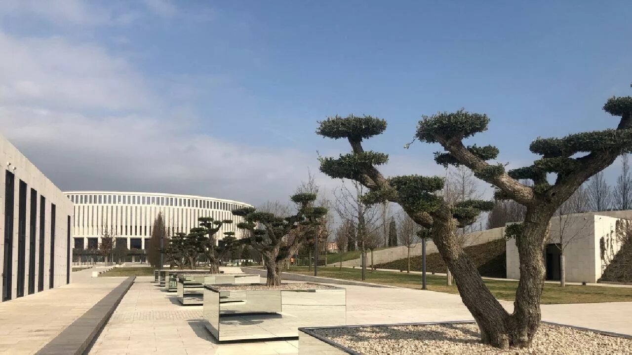 Слива нигра в парке галицкого. Парк Голицына в Краснодаре. Краснодарский парк Галицкого. Пару Голицына Краснодар. Деревья в парке Галицкого в Краснодаре.