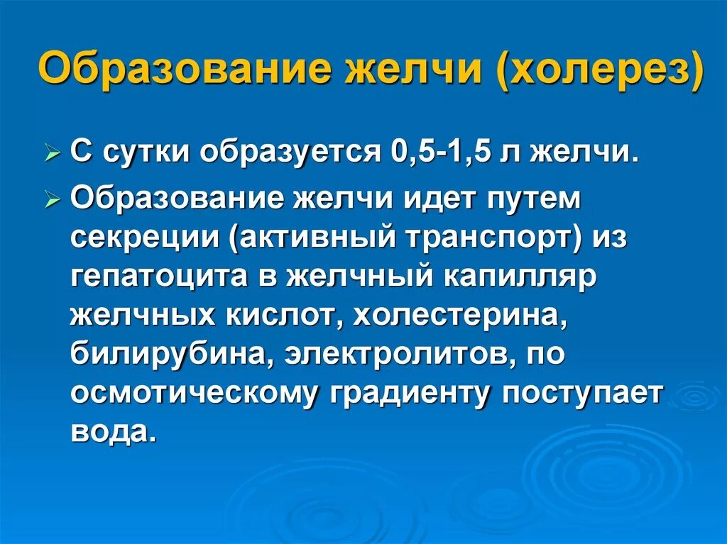 Образование желчи. Механизм образования желчи. Процесс желчи образования происходит. Образование и выделение желчи.