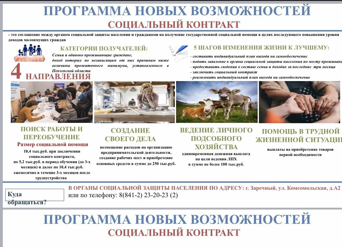 Личное подсобное хозяйство. Социальная помощь на основе социального контракта. Соцконтракт на ведение подсобного хозяйства. Разновидности личного подсобного хозяйства. Ведение личного подсобного хозяйства.