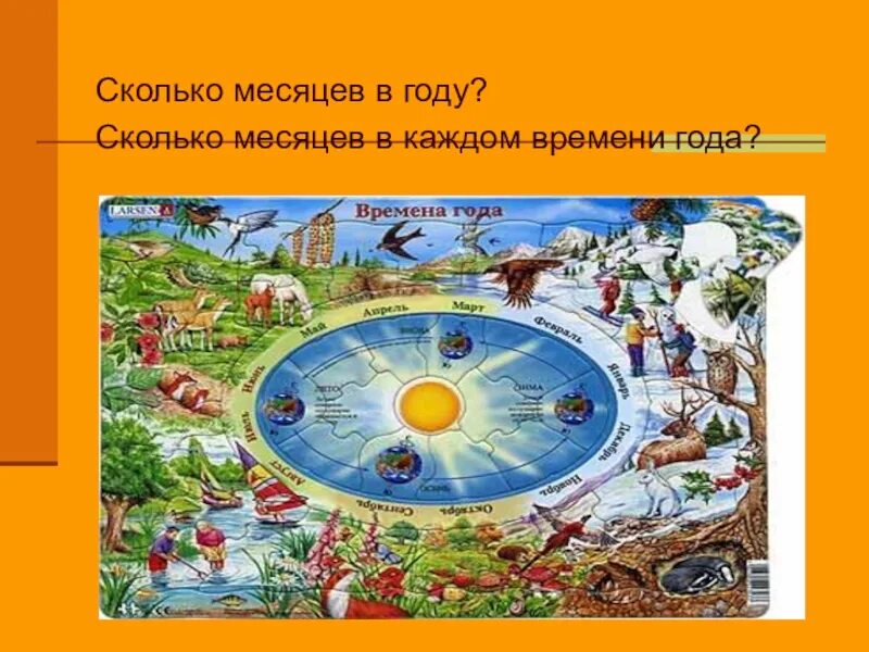 Через сколько месяцев будет лет. Сколько месяцев в каждом времени года. Сколько месяцев в году. Сколько летних месяцев. Сколько времен года, сколько месяцев в году.