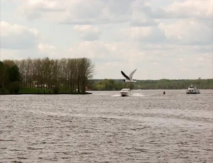 Пироговским водохранилищем