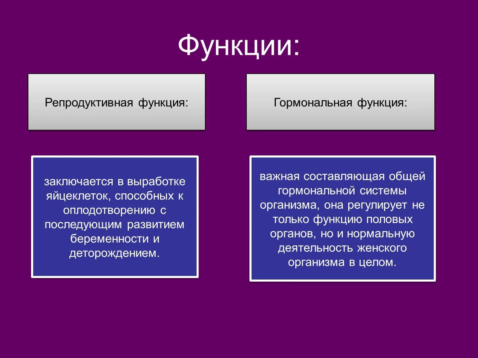 Строение и функции женских органов. Половая система человека функции. Функции репродуктивной системы. Функции репродуктивной системы женщины. Функции органов половой системы.