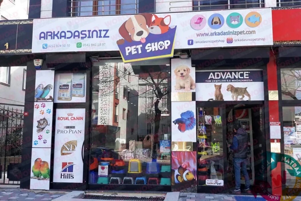 Pet shop магазин. ПЕТШОП магазин. Зоомагазин Эстетика. ПЕТШОП карты. Зоомагазин Эстетик.