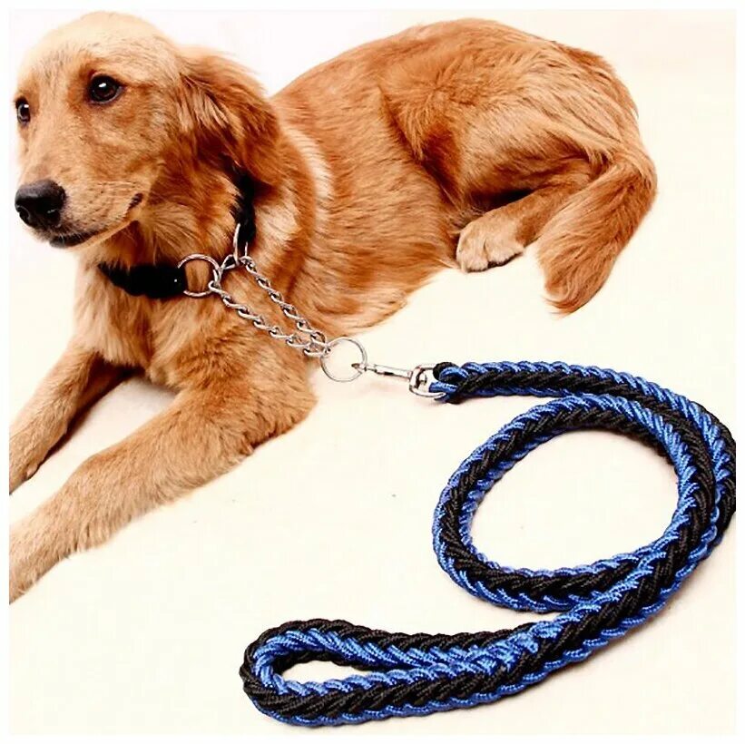 канат для собак. поводок из веревки для собаки. стильный поводок для собак. поводок петля для собак. сделать веревку для собак.