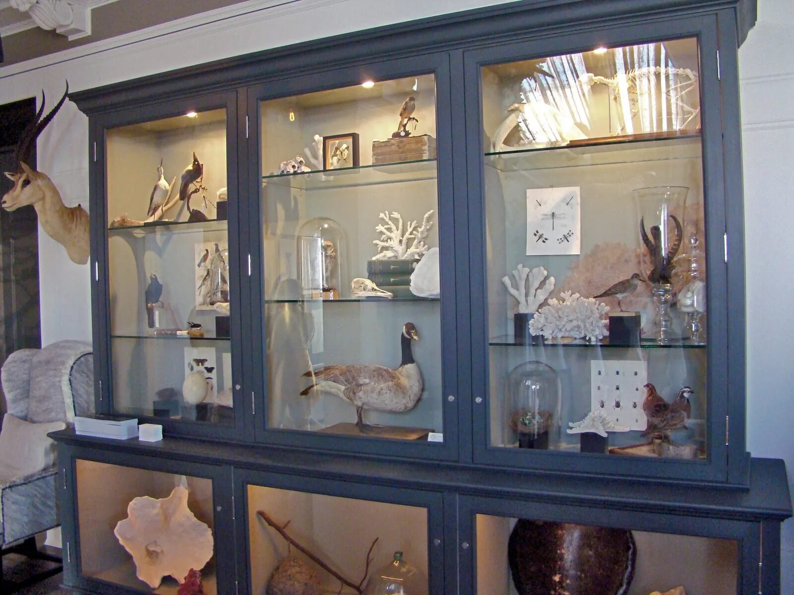 Show cases