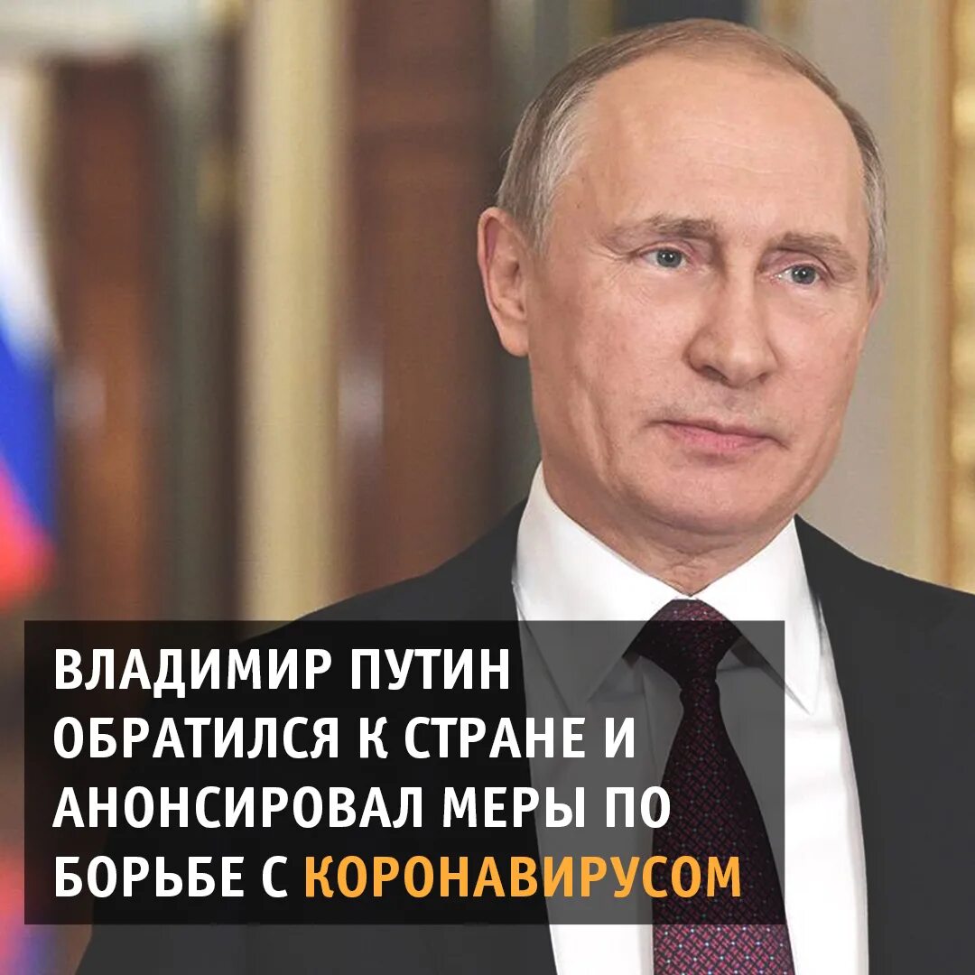 Обращение президента. Картинка в поддержку президента России Путина. Открытка для поддержки президента России. Любое время обращайтесь