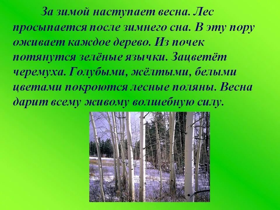 Мелодии весеннего леса 3 класс. Весенний лес описание. Лес весной описание.